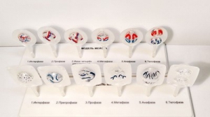 Модель "Митоз и мейоз клетки" - fgospostavki.ru - Обнинск