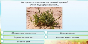 Интерактивные курсы. Окружающий мир 3 класс . Базовый. - fgospostavki.ru - Обнинск