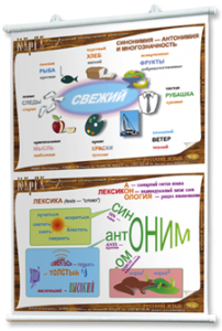 Плакаты по русскому языку для оформления кабинета. - fgospostavki.ru - Обнинск
