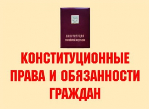 Комплект плакатов "Конституционные права и обязанности граждан" - fgospostavki.ru - Обнинск