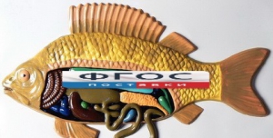 Модель барельефная "Внутреннее строение рыбы" - fgospostavki.ru - Обнинск