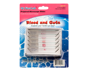 Набор микропрепаратов для микроскопа №1 «Человек» - fgospostavki.ru - Обнинск