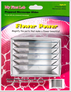 Набор микропрепаратов для микроскопа №6 «Цветы» - fgospostavki.ru - Обнинск