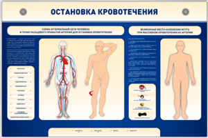 Электрифицированный стенд-тренажер "Остановка кровотечения" - fgospostavki.ru - Обнинск