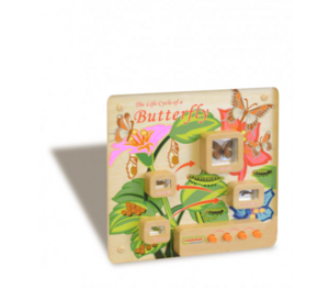 Панель «Жизненный цикл бабочки» - fgospostavki.ru - Обнинск