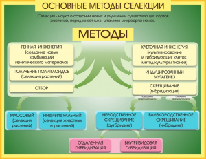 Стенд "Методы селекции и биотехнологии" - fgospostavki.ru - Обнинск