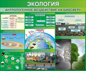 Стенд "Экология. Антропогенное воздействие на биосферу" - fgospostavki.ru - Обнинск