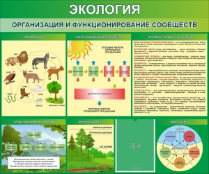 Стенд "Экология. Организация и функционирование сообществ" - fgospostavki.ru - Обнинск