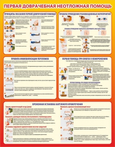 Стенд "Первая доврачебная неотложная помощь" - fgospostavki.ru - Обнинск