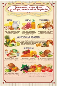 Стенд "Витамины, жиры, белки" - fgospostavki.ru - Обнинск