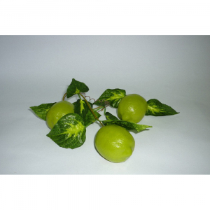 Ветка муляжей "Лайм" - fgospostavki.ru - Обнинск