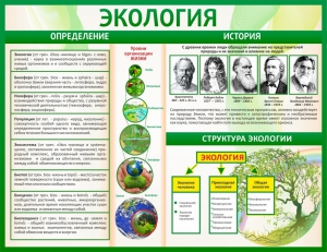 Стенд "Экология" - fgospostavki.ru - Обнинск