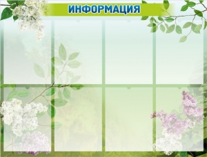 Стенд "Информация" Вариант 13 - fgospostavki.ru - Обнинск
