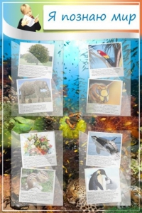 Стенд "Я познаю мир" - fgospostavki.ru - Обнинск