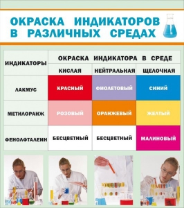 Стенд "Окраска индикаторов в различных средах" - fgospostavki.ru - Обнинск