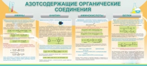 Стенд "Азотсодержащие органические соединения" - fgospostavki.ru - Обнинск