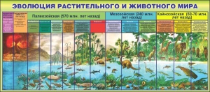 Стенд "Эволюция растительного и животного мира" - fgospostavki.ru - Обнинск