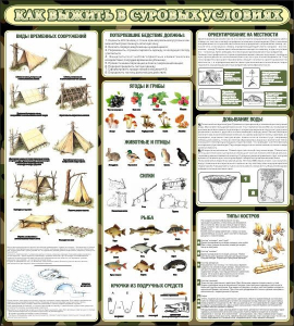 Стенд информационный "Как выжить в суровых условиях" - fgospostavki.ru - Обнинск