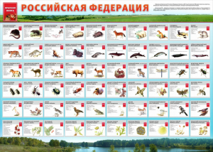 Стенд "Красная книга РФ" - fgospostavki.ru - Обнинск