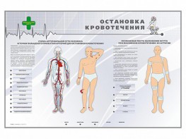 Электрифицированный стенд "Остановка кровотечения" - fgospostavki.ru - Обнинск