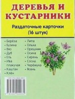 Раздаточные карточки "Деревья и кустарники" - fgospostavki.ru - Обнинск
