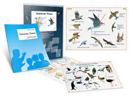 Комплект кодотранспарантов "Зоология. Птицы" - fgospostavki.ru - Обнинск