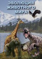 DVD "Эволюция животного мира" - fgospostavki.ru - Обнинск