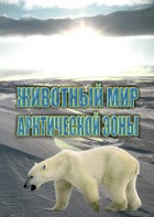 DVD "Животный мир Арктической зоны" - fgospostavki.ru - Обнинск