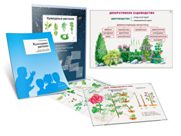 Комплект кодотранспарантов "Культурные растения" - fgospostavki.ru - Обнинск