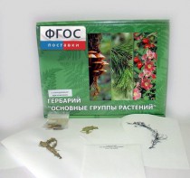 Гербарий "Основные группы растений" (52 листа) - fgospostavki.ru - Обнинск