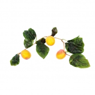 Ветка муляжей "Абрикосы" - fgospostavki.ru - Обнинск