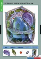 Комплект таблиц. Биология. Вещества растений. Клеточное строение. - fgospostavki.ru - Обнинск