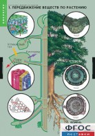 Комплект таблиц. Биология. Растение – живой организм. - fgospostavki.ru - Обнинск