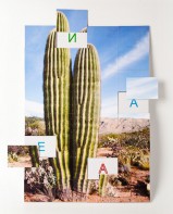 Магнитная орфография (безударные гласные, 1 класс) "Кактус" - fgospostavki.ru - Обнинск