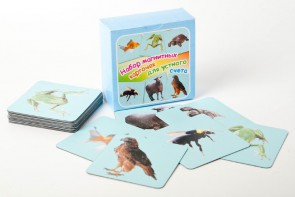 Набор магнитных карточек "Устный счет" (фон голубой) - fgospostavki.ru - Обнинск