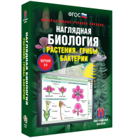 Наглядная биология. 6 класс. Растения. Грибы. Бактерии - fgospostavki.ru - Обнинск