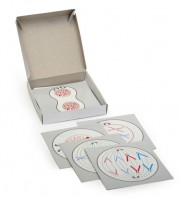 Модель-аппликация "Деление клетки" (набор из 5 карт) - fgospostavki.ru - Обнинск