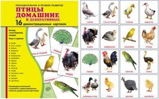 Демонстрационные карточки "Птицы домашние и декоративные" - fgospostavki.ru - Обнинск