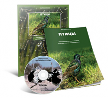 Электронное наглядное пособие «Птицы» - fgospostavki.ru - Обнинск