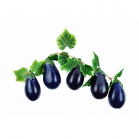 Ветка муляжей "Баклажаны" - fgospostavki.ru - Обнинск