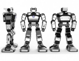 Образовательная платформа для обучения программирования гуманоидный робот Yanshee - fgospostavki.ru - Обнинск