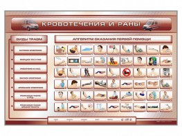 Трехсекционный базовый комплект "Травмы. Кровотечения. Ожоги" для учащихся общеобразовательных учреждений - fgospostavki.ru - Обнинск