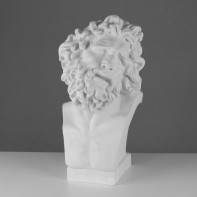 Бюст Лаокоона (гипс) - fgospostavki.ru - Обнинск