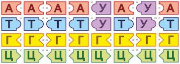 Модель-аппликация Удвоение ДНК и транскрипция РНК - fgospostavki.ru - Обнинск