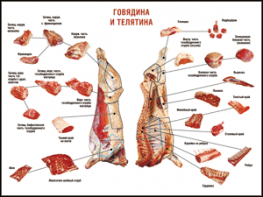 Таблица "Правила разделки мясных туш. Говядина и телятина" (100х140 сантиметров, винил) - fgospostavki.ru - Обнинск