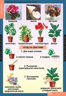 Комплект таблиц. Окружающий мир 1 класс. - fgospostavki.ru - Обнинск