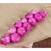 Муляжи "Связка лука" - fgospostavki.ru - Обнинск