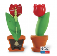 Модель цветка - fgospostavki.ru - Обнинск