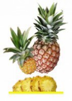 Комплект карточек "Запоминай, играй, считай" - Фрукты - fgospostavki.ru - Обнинск