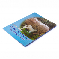 Коллекция "Шерсть и продукты ее переработки" - fgospostavki.ru - Обнинск